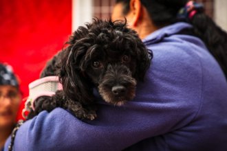 WhatsApp Image 2025-05-13 at 11.39.19 (1).jpeg